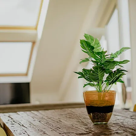Penthouse Apartamento
